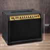 imageLyxPro 60 Watt Electric Guitar Amplifier  Combo Solid State Studio ampamp Stage Amp with 10 4Ohm Speaker Custom EQ Controls Drive Delay  PassiveActiveMic Inputs Aux In ampamp Headphone Jack NaturalBlack