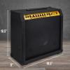 imageLyxPro 60 Watt Electric Guitar Amplifier  Combo Solid State Studio ampamp Stage Amp with 10 4Ohm Speaker Custom EQ Controls Drive Delay  PassiveActiveMic Inputs Aux In ampamp Headphone Jack NaturalBlack