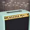 imageLyxPro 60 Watt Electric Guitar Amplifier  Combo Solid State Studio ampamp Stage Amp with 10 4Ohm Speaker Custom EQ Controls Drive Delay  PassiveActiveMic Inputs Aux In ampamp Headphone Jack NaturalGreen