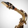 imageAlto Saxophone E Flat Brass Sax Kit Professional Sound Complete Accessories Ideal for All Players Includes Hard Case 10 Extra Reeds Strap Gloves Cleaning Kit ampamp More Antique BronzeAntique Bronze