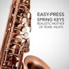 imageAlto Saxophone E Flat Brass Sax Kit Professional Sound Complete Accessories Ideal for All Players Includes Hard Case 10 Extra Reeds Strap Gloves Cleaning Kit ampamp More Gold Lacquer FinishAntique Red
