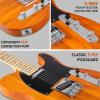 imageLyxPro 30 Electric Guitar Left Hand TL Series FullSize Paulownia Wood Body 3Ply Pickguard CShape Neck Ashtray Bridge Quality Gear Tuners 3Way Switch ampamp VolumeTone Controls 2 Picks GreenMahogany