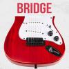 imageLyxPro CS 36 Left Hand Electric Guitar Kit for Beginner Intermediate ampamp Pro Players with Guitar Amp Cable 6 Picks ampamp Learners Guide Solid Wood Body VolumeTone Controls 5Way Pickup  BlueRed