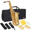 imageAlto Saxophone E Flat Brass Sax Kit Professional Sound Complete Accessories Ideal for All Players Includes Hard Case 10 Extra Reeds Strap Gloves Cleaning Kit ampamp More Antique BronzeGold Lacquer