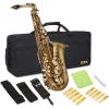 imageAlto Saxophone E Flat Brass Sax Kit Professional Sound Complete Accessories Ideal for All Players Includes Hard Case 10 Extra Reeds Strap Gloves Cleaning Kit ampamp More Gold Lacquer FinishAntique Bronze
