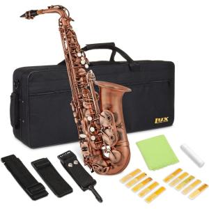imageAlto Saxophone E Flat Brass Sax Kit Professional Sound Complete Accessories Ideal for All Players Includes Hard Case 10 Extra Reeds Strap Gloves Cleaning Kit ampamp More Gold Lacquer FinishAntique Red
