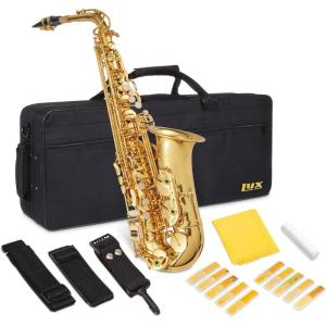 imageAlto Saxophone E Flat Brass Sax Kit Professional Sound Complete Accessories Ideal for All Players Includes Hard Case 10 Extra Reeds Strap Gloves Cleaning Kit ampamp More Antique BronzeGold Lacquer